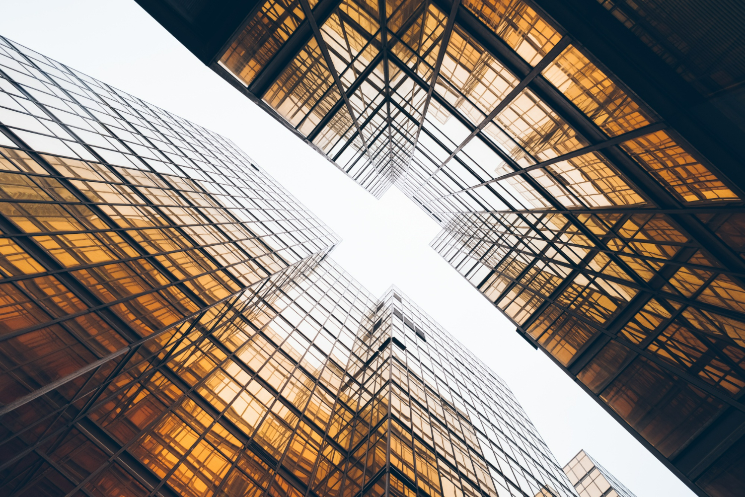 Como armazenar móveis durante o processo de construção